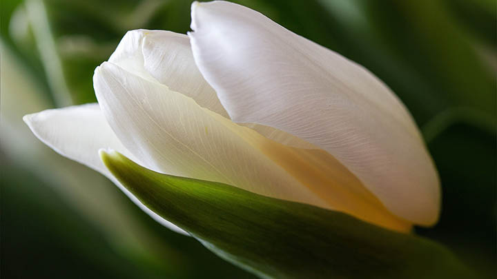 快连下载安装后无反应？官方教你3招轻松解决 二