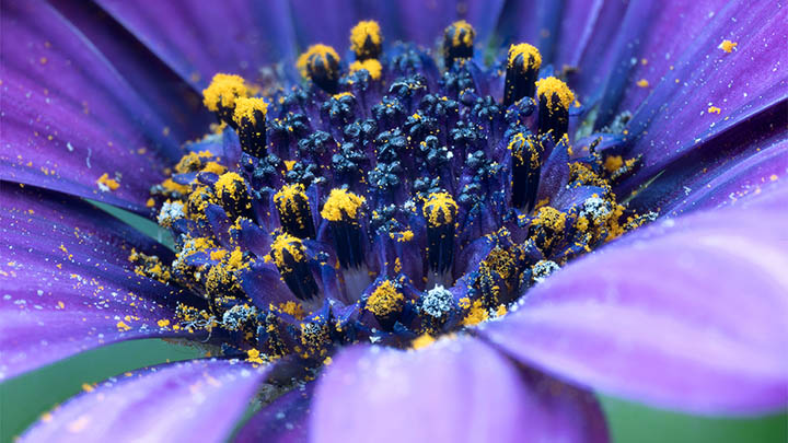 快连下载官网入口:全平台支持,解锁无限加速教程 快连下载官网入口:全平台支持,解锁无限加速教程 二