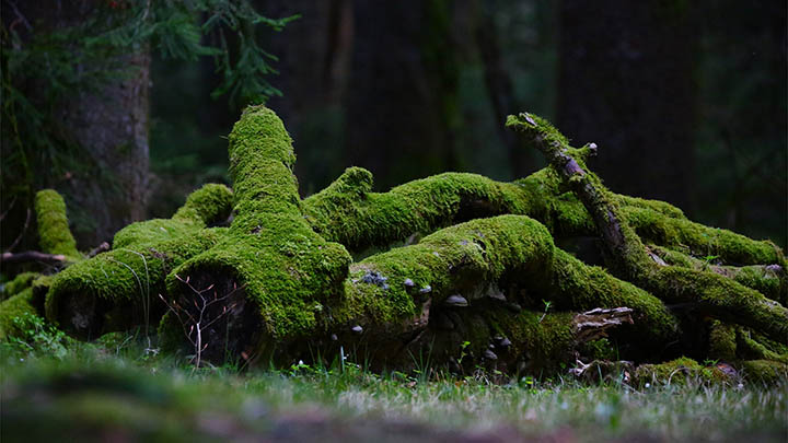 快连下载旧版本:官方认可2种快速方式 快连下载旧版本:官方认可2种快速方式 二