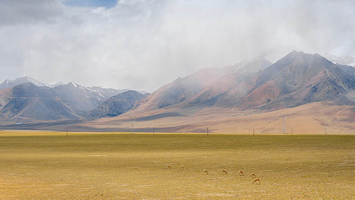 快连下载不了?官方解决指南秒修连接问题 快连下载不了?官方解决指南秒修连接问题 二