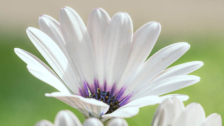 快连下载有毒吗?权威解析安全性及正版获取指南 快连下载有毒吗?权威解析安全性及正版获取指南 二