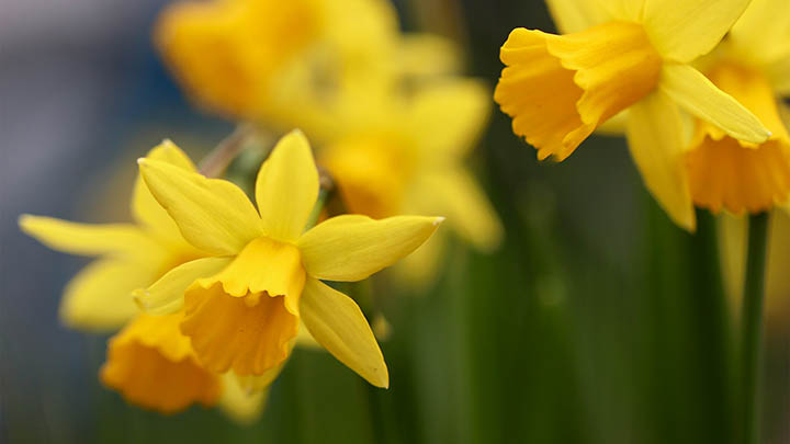 快连VPN下载免费吗?3分钟了解费用与技巧指南 快连VPN下载免费吗?3分钟了解费用与技巧指南 二