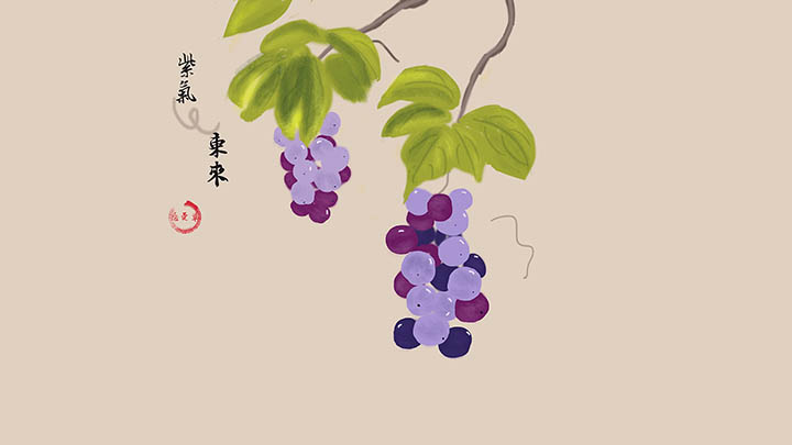 快连下载收费吗？超全版功能对比和价格解析 二