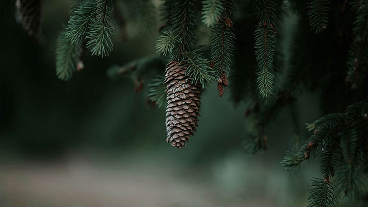 快连VPN下载后无法正常开启？详解解决策略及多平台优化建议 二