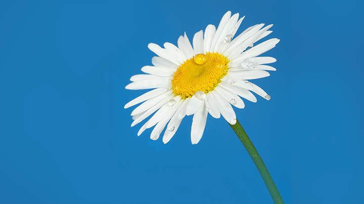 快连下载支持手机吗？多设备兼容解析与极速安装指南 二