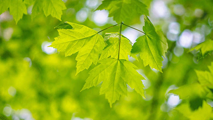 快连下载官方版本难找？权威官网地址与顶级加速解析方案 二