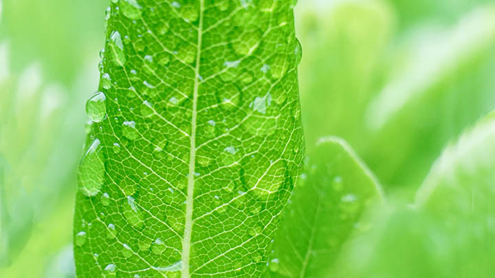 快连下载破解版：隐私保护三步搞定 二