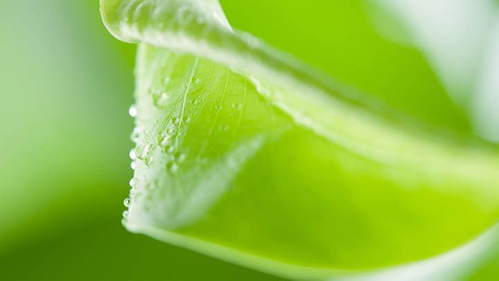 快连VPN下载：正版安装及使用常见问题深入解析 二