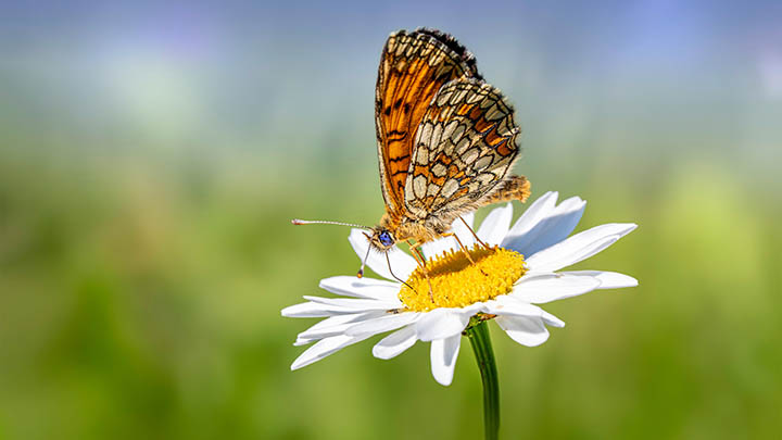 快连下载需要更新？快速查看更新渠道与解决方案 二