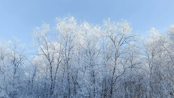 快连下载安装包总是被删除？3个实用技巧助你彻底解决 二