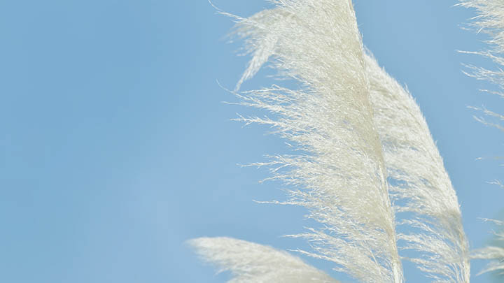 快连下载安装包损坏？三招解决官方正版问题 二