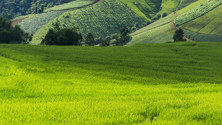 快连下载安装出错？详细教程教你轻松搞定连接问题 二