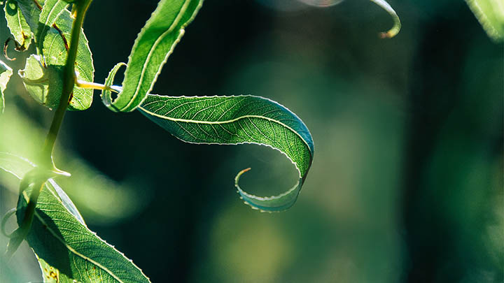 快连下载安装后无法使用？官方教程详解4种解决方案 二