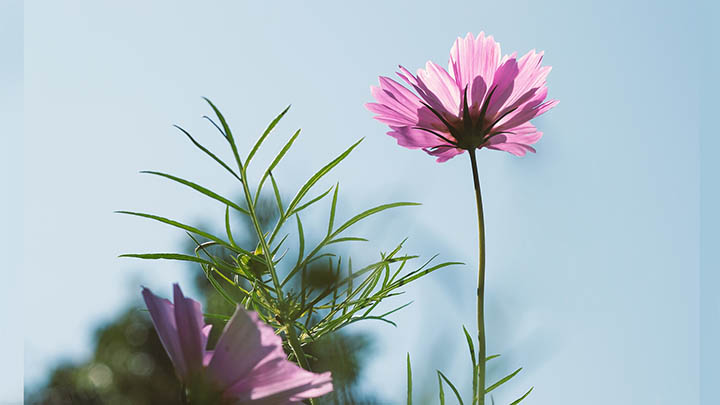 快连下载安装后白屏解决指南：官方优化推荐设置教程 二