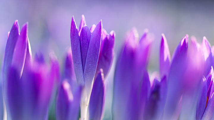 快连VPN下载安装后提示错误？全面解决方案及常见问题解答 二