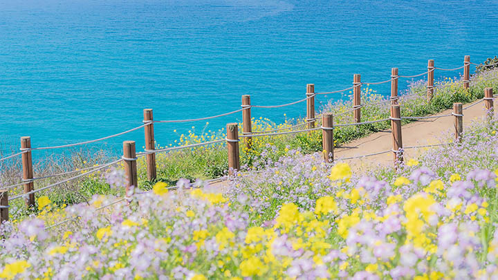 快连VPN下载无法连接？3招教你轻松解决服务器问题 二