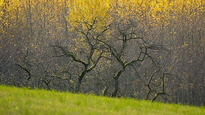 快连下载安装提示网络错误？最新解决方案全面解析 二