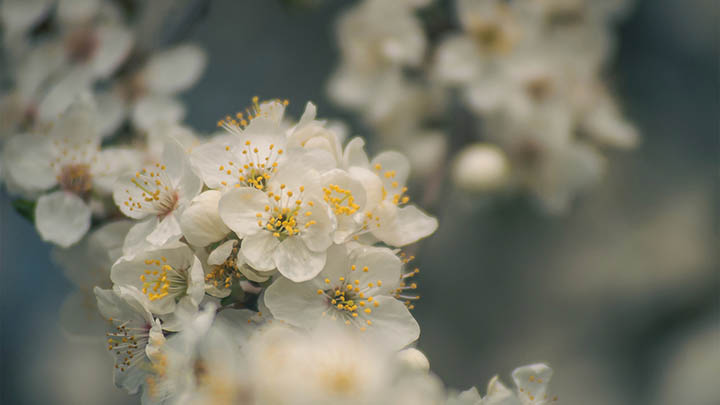 快连下载安装后无法连接？教你快速排查与解决 二