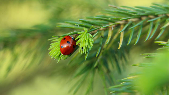 快连下载安装后连接参数配置失败？全方位解决方案解析 二