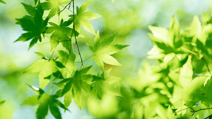 快连VPN连接稳定性：下载安装后确保无缝网络体验指南 二