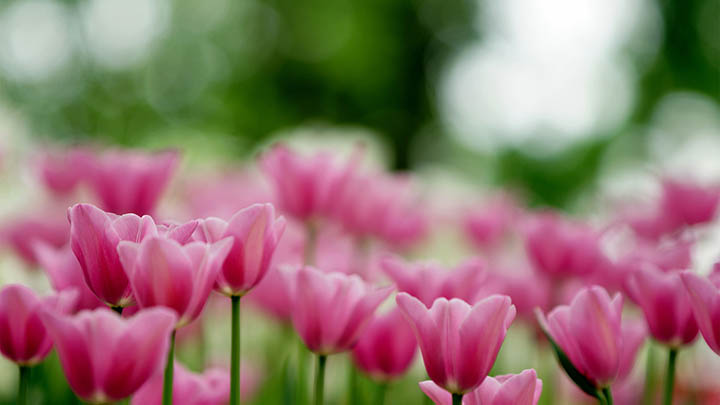 快连下载安装后连接统计异常?深度解析3大解决技巧 快连下载安装后连接统计异常?深度解析3大解决技巧 二