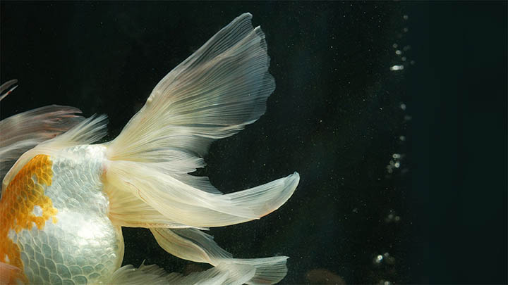 快连下载安装后连接通知弹出不了?快速解决方案解析 快连下载安装后连接通知弹出不了?快速解决方案解析 二