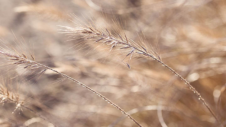 快连下载安装后提示音怎么设置？全平台详细教程 二