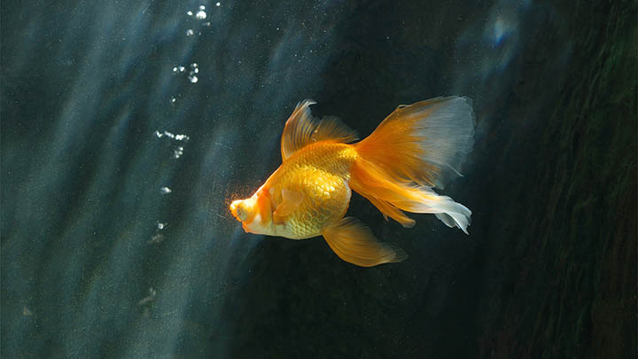 快连下载安装后如何手动连接？官方正版设置教程详解 二