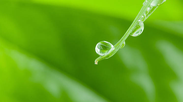 快连VPN下载后如何快速切换连接地区?稳定选择攻略汇总 快连VPN下载后如何快速切换连接地区?稳定选择攻略汇总 二