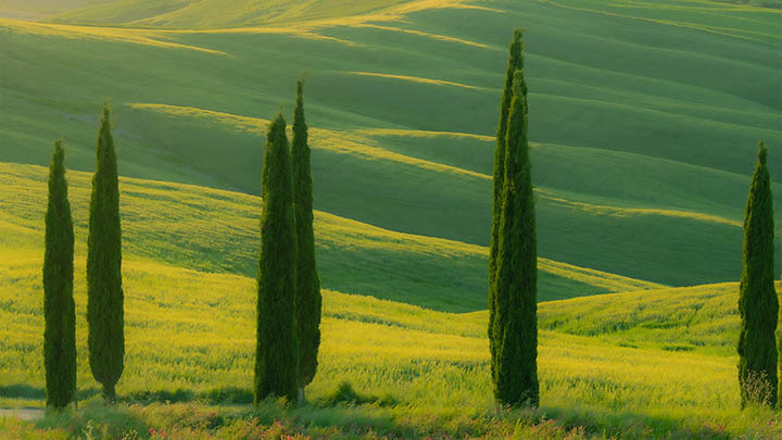 快连下载安装后连全球：国内外优选节点秒连接 二